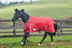 Weatherbeeta Comfitec Classic Standard Neck Lite Red/Silver/Navy