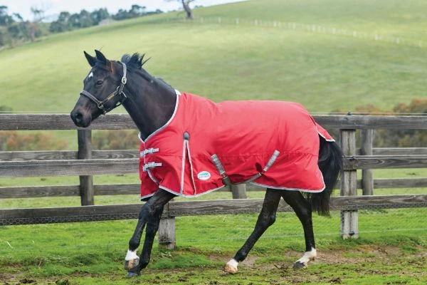 Weatherbeeta Comfitec Classic Standard Neck Lite Red/Silver/Navy 1 Weatherbeeta Comfitec Classic Standard Neck Lite Red/Silver/Navy