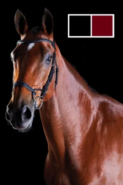 Collegiate Comfitec Training Bridle