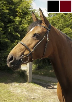 Heritage In-Hand Bridle