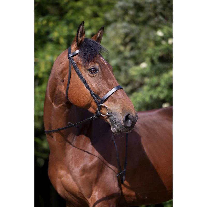 Riding World Plain Bridle 2 Riding World Plain Bridle - Image 2