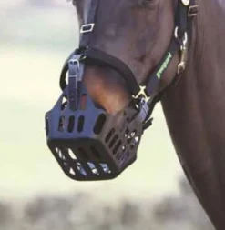 Greenguard Grazing Muzzle