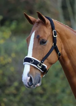 Shires Fleece Lunge Cavesson Black