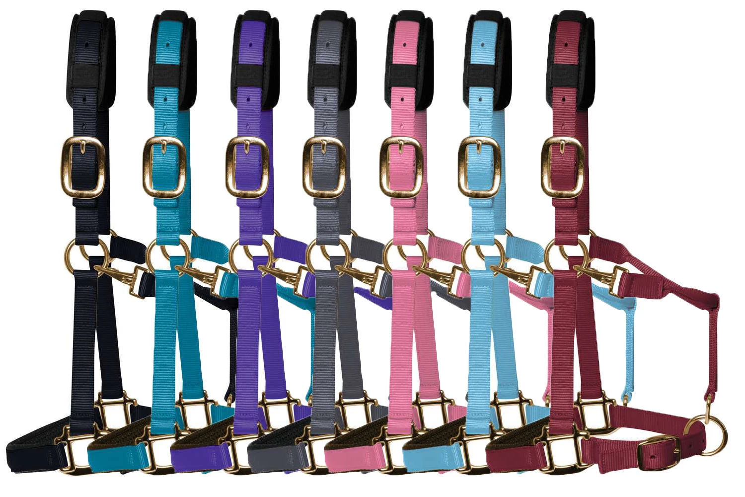 KM Elite Luxury Padded Headcollar 1 KM Elite Luxury Padded Headcollar