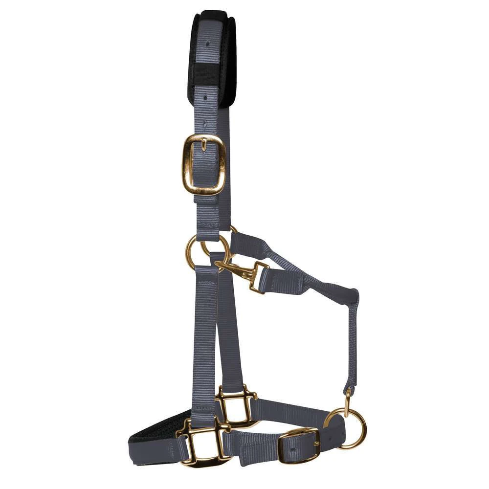 KM Elite Luxury Padded Headcollar 5 KM Elite Luxury Padded Headcollar - Image 5