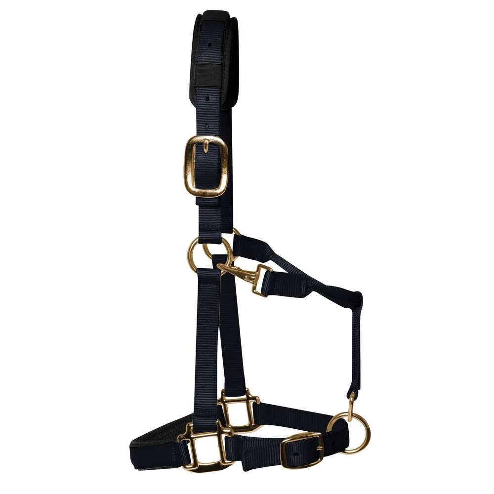 KM Elite Luxury Padded Headcollar 6 KM Elite Luxury Padded Headcollar - Image 6