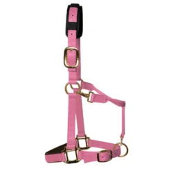 KM Elite Luxury Padded Headcollar 16 KM Elite Luxury Padded Headcollar -EquiGlow Shop 0010679 km elite luxury padded headcollar