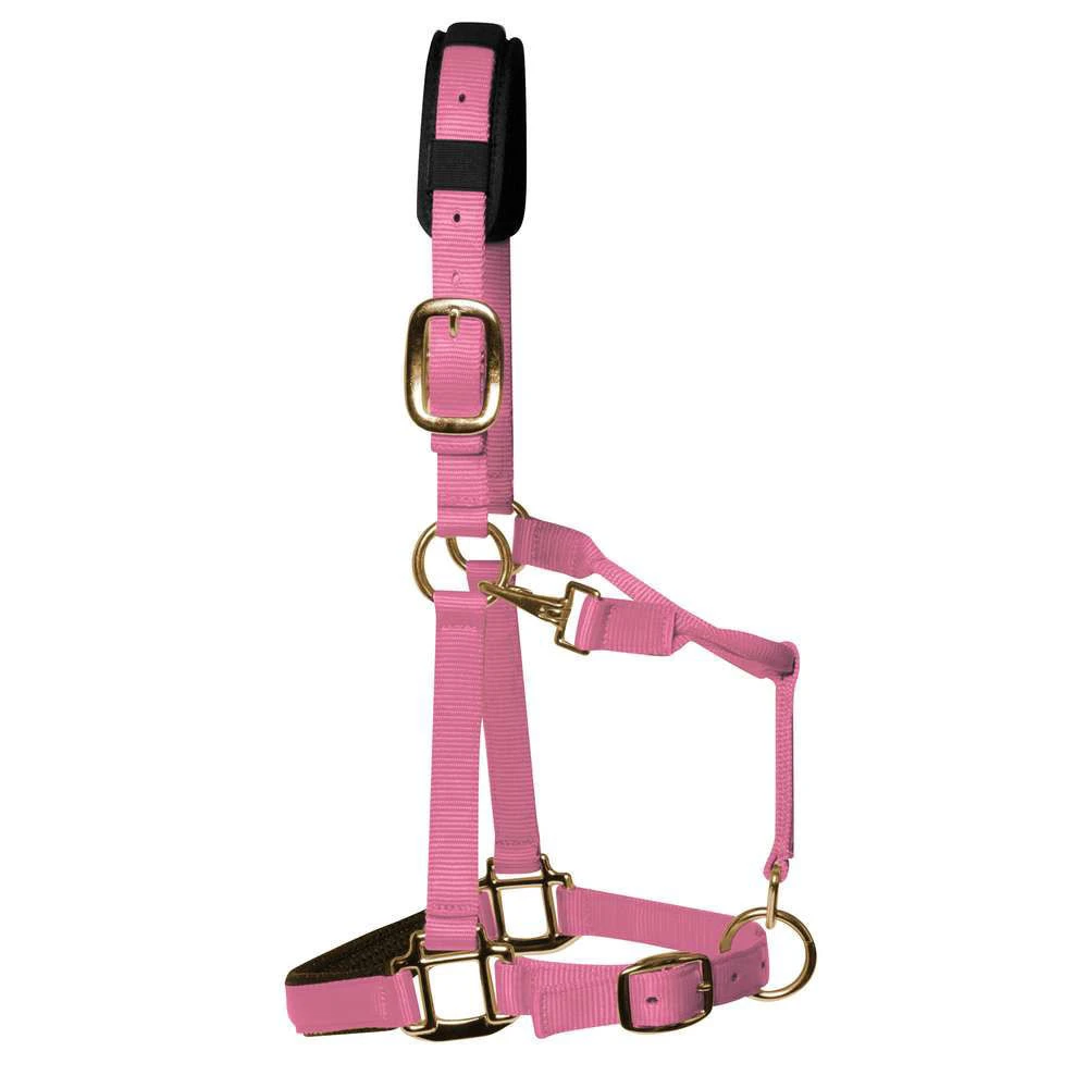 KM Elite Luxury Padded Headcollar 7 KM Elite Luxury Padded Headcollar - Image 7