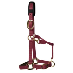 KM Elite Luxury Padded Headcollar 18 KM Elite Luxury Padded Headcollar -EquiGlow Shop 0010681 km elite luxury padded headcollar