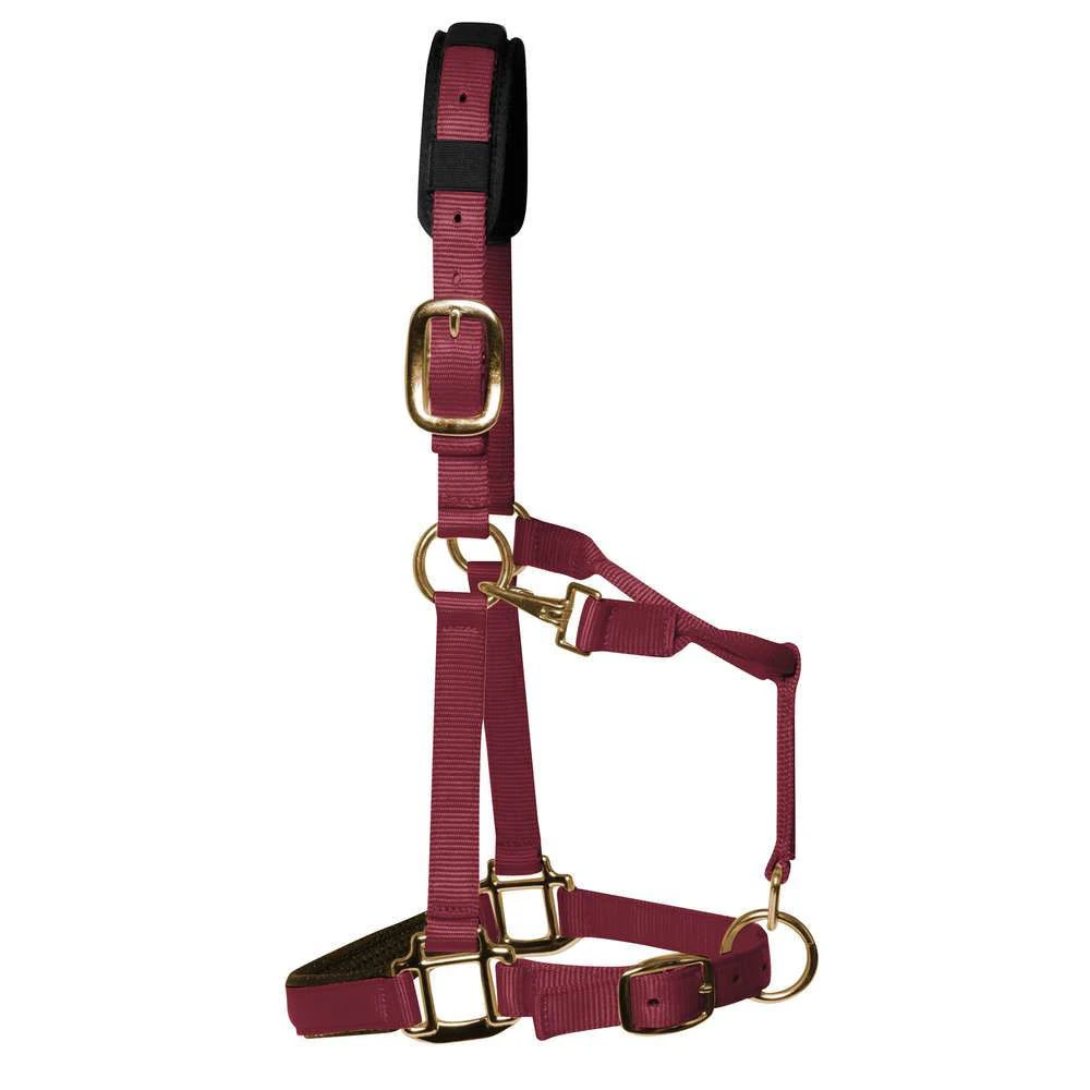 KM Elite Luxury Padded Headcollar 9 KM Elite Luxury Padded Headcollar - Image 9