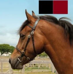 Windsor. Windsor In-Hand Bridle