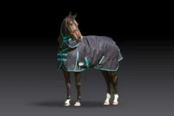 Weatherbeeta Green-Tec 900D Detach-A-Neck Medium Black/Bottle -EquiGlow Shop 0012258 weatherbeeta green tec 900d detach a neck medium blackbottle