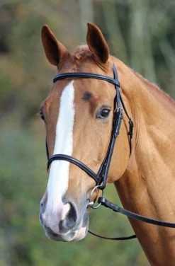 Aviemore Raised Cavesson Bridle Black