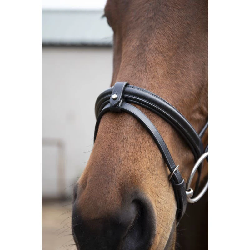 Eco Rider Classic Comfort Bridle 2 Eco Rider Classic Comfort Bridle - Image 2
