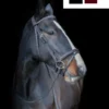 Cameo Equine Core Collection Comfort Bridle
