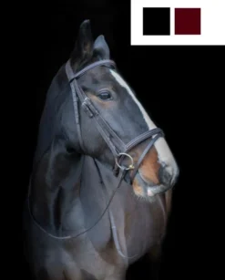 Cameo Equine Core Collection Comfort Bridle