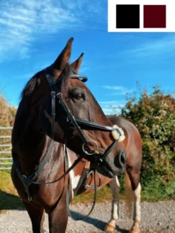 Cameo Equine Core Collection Grackle Bridle