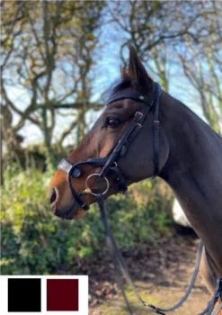 Cameo Equine Freedom Jump Bridle