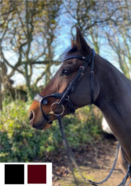 Cameo Equine Freedom Jump Bridle 1 Cameo Equine Freedom Jump Bridle