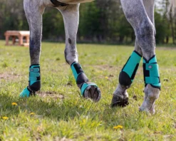 QHP Eventing Boots Hind Leg Technical Mint Green 5 QHP Eventing Boots Hind Leg Technical Mint Green -EquiGlow Shop 0014958 qhp eventing boots hind leg technical mint green