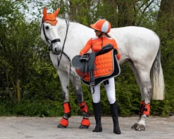 QHP Eventing Boots Hind Leg Technical Orange -EquiGlow Shop 0014961 qhp eventing boots hind leg technical orange