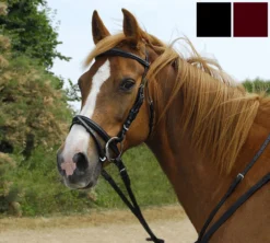 Windsor. Windsor Flash Bridle