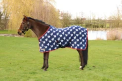 StormX Original Fleece Rug - Thelwell Collection
