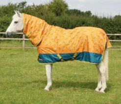 StormX Oringinal Born To Be Wild 200g Combi Turnout Rug Safari Orange/Petrol
