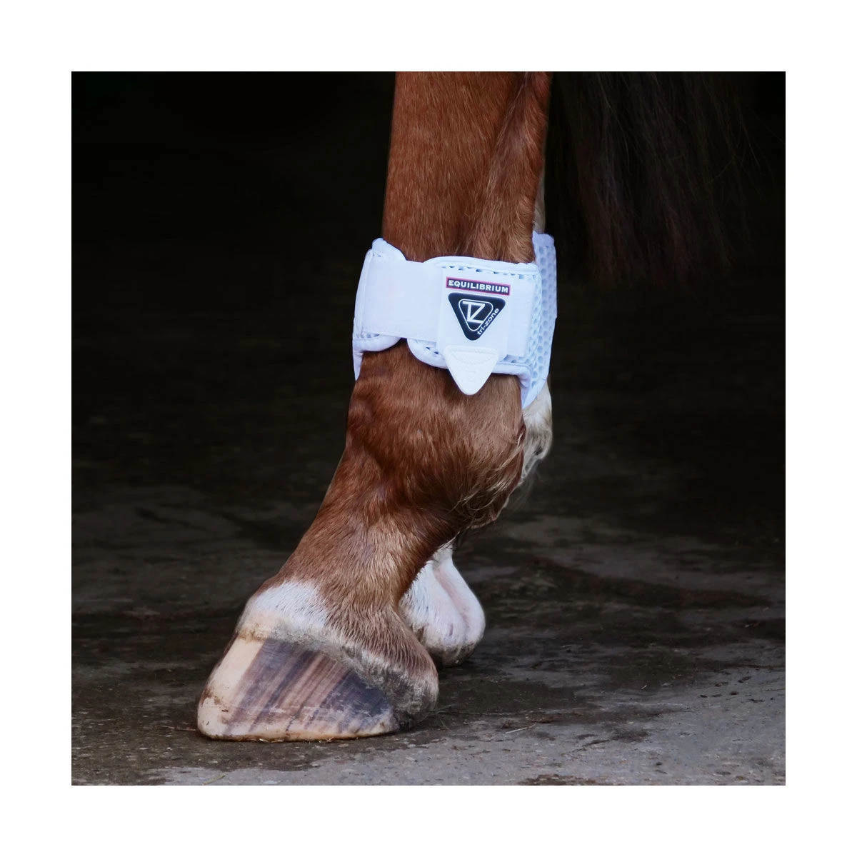 Equilibrium Tri-Zone Fetlock Boots White 2 Equilibrium Tri-Zone Fetlock Boots White - Image 2