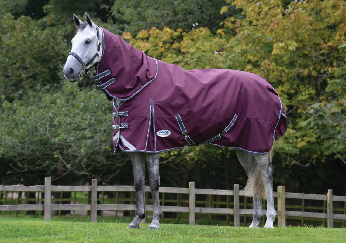 Weatherbeeta Comfitec Plus Dynamic II Detach-A-Neck Medium 220g Maroon/Grey/White 1 Weatherbeeta Comfitec Plus Dynamic II Detach-A-Neck Medium 220g Maroon/Grey/White