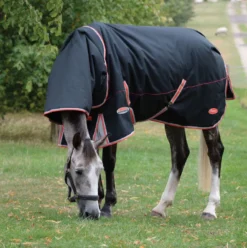 Weatherbeeta Comfitec Premier With Therapy -Tec Detach-A-Neck Medium 220g Black/Silver/Red -EquiGlow Shop 0016591 weatherbeeta comfitec premier with therapy tec detach a neck medium 220g blacksilverred