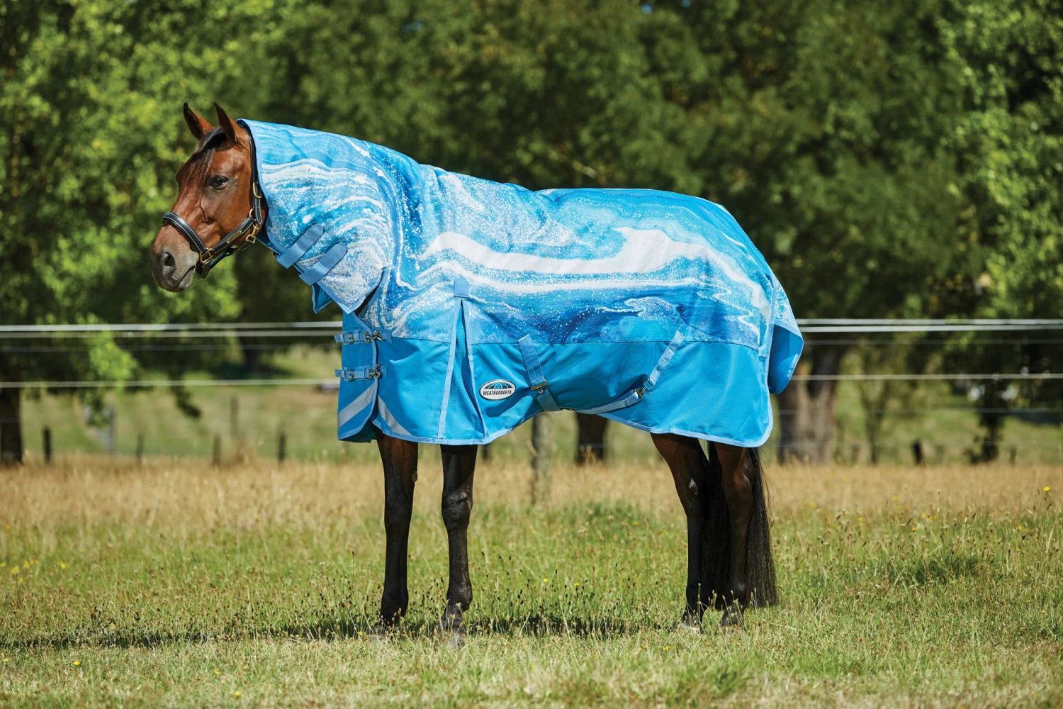 Weatherbeeta Comfitec Plus Dynamic II Combo Medium 220g 1 Weatherbeeta Comfitec Plus Dynamic II Combo Medium 220g