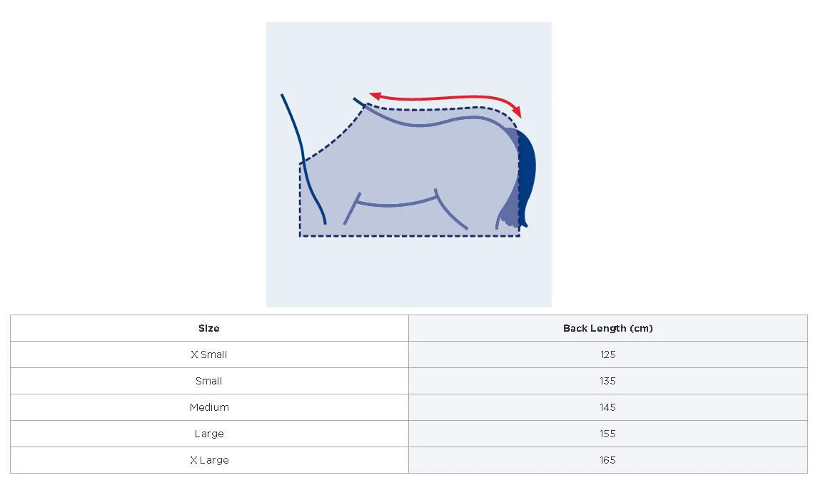Weatherbeeta 300D Reflective Exercise Sheet Pink 2 Weatherbeeta 300D Reflective Exercise Sheet Pink - Image 2
