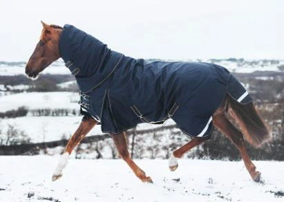 Mackey Wicklow Detach-A-Neck Turnout 360g Navy/Gold 2 Mackey Wicklow Detach-A-Neck Turnout 360g Navy/Gold - Image 2