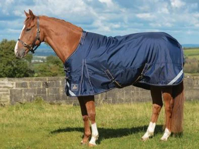 Mackey Wicklow Detach-A-Neck Turnout 200G Navy/Gold 2 Mackey Wicklow Detach-A-Neck Turnout 200G Navy/Gold - Image 2