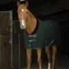 Equi Theme Teddy Polar Fleece Green/Brown