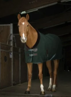 Equi Theme Teddy Polar Fleece Green/Brown