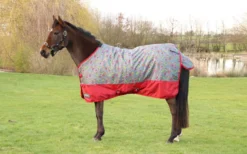 StormX Original Country Walks 100g Turnout Rug - Burgundy/Grey