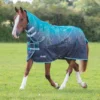 Shires Tempest Original 200g Combo Turnout Rug Teal Lightning