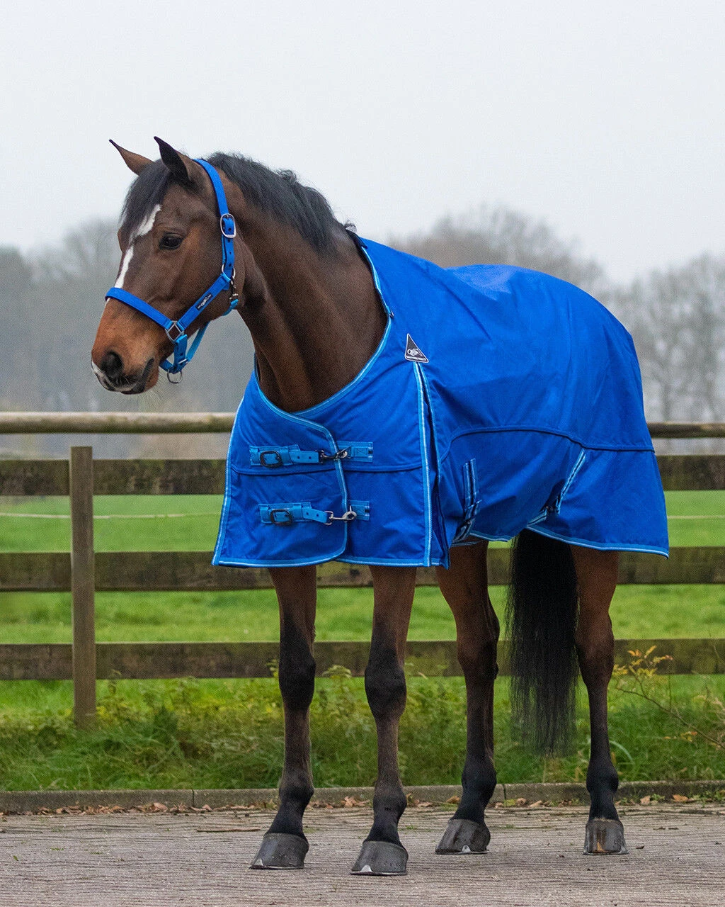 QHP Turnout Rug Collection 150g Splash 2 QHP Turnout Rug Collection 150g Splash - Image 2
