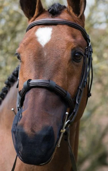 Equilibrium Net Relief Black 1 Equilibrium Net Relief Black