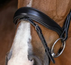 Eric Thomas Elite Stuttgart Bridle Black -EquiGlow Shop 0018647 eric thomas elite stuttgart bridle black