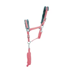 Hy Sport Active Headcollar & Lead 10 Hy Sport Active Headcollar & Lead -EquiGlow Shop 0019388 hy sport active headcollar lead