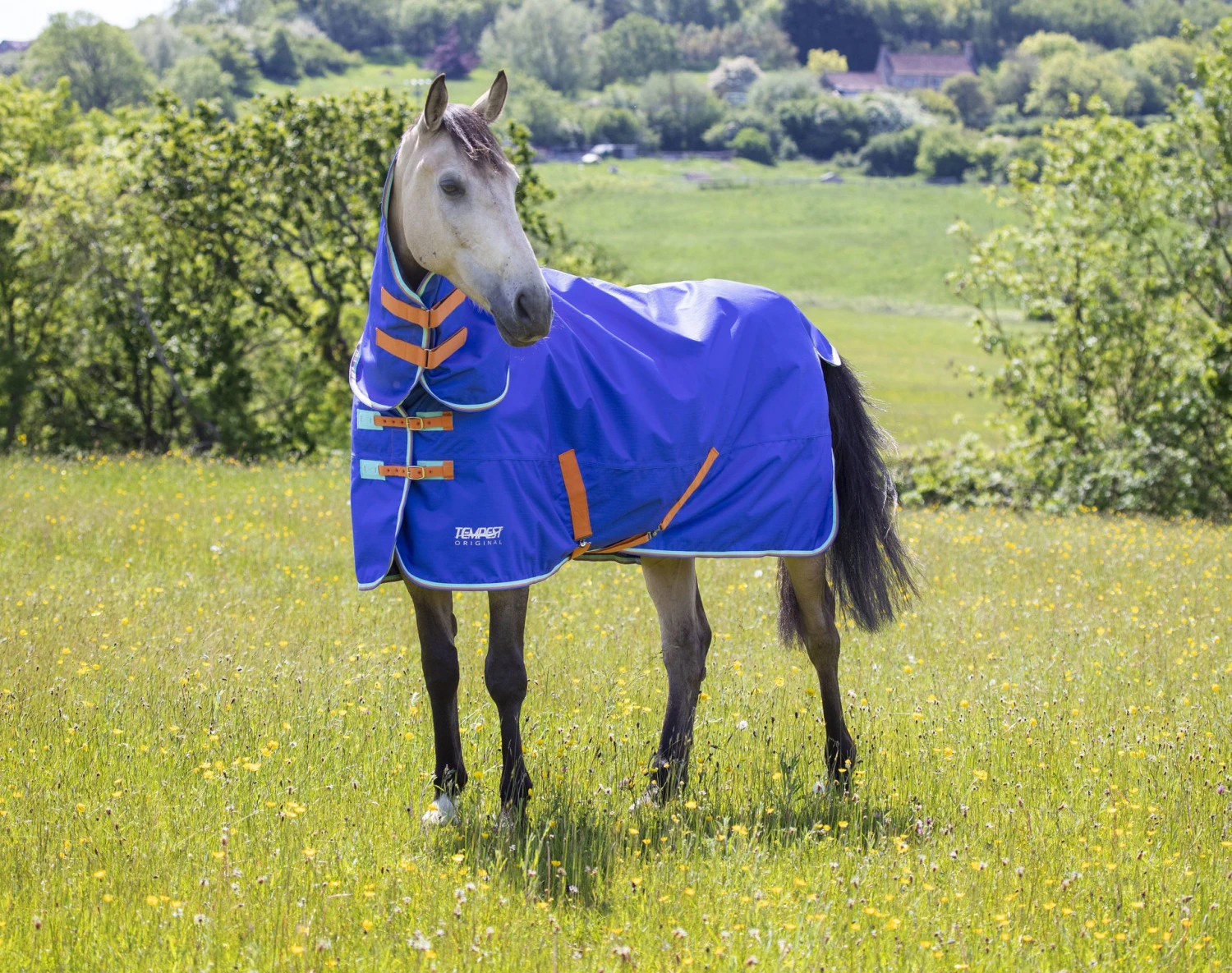 Shires Tempest Original 50g Combo Turnout Rug Royal 2 Shires Tempest Original 50g Combo Turnout Rug Royal - Image 2