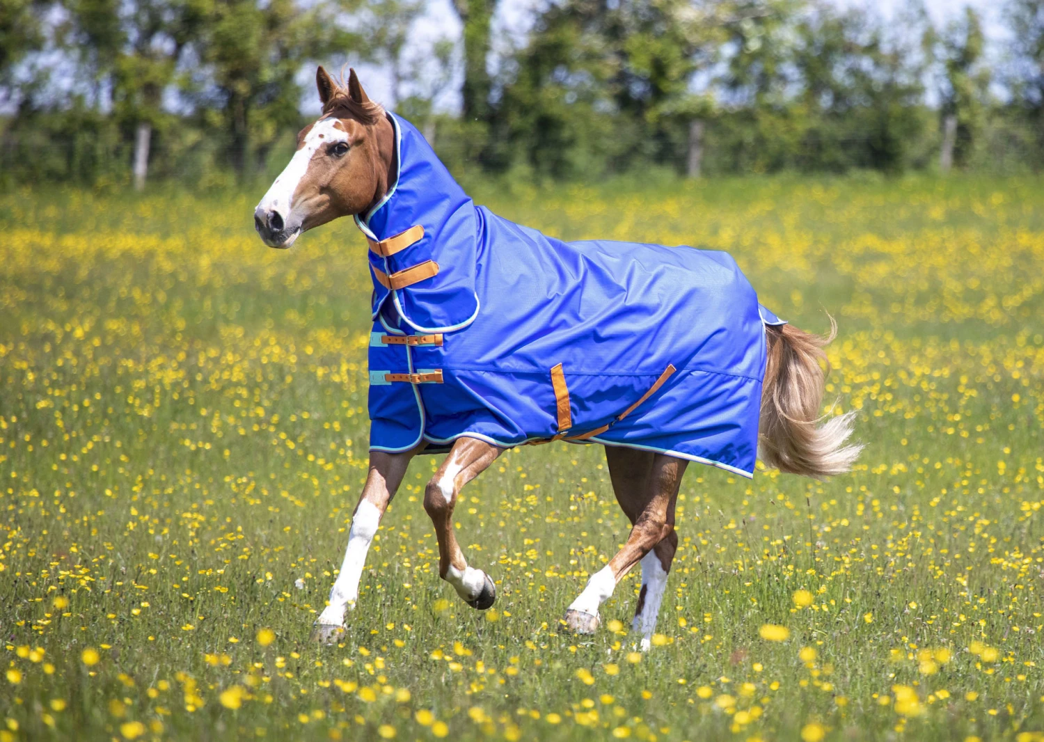 Shires Tempest Original 50g Combo Turnout Rug Royal 1 Shires Tempest Original 50g Combo Turnout Rug Royal