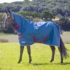 Shires Tempest Original Lite Combo Turnout Rug Teal