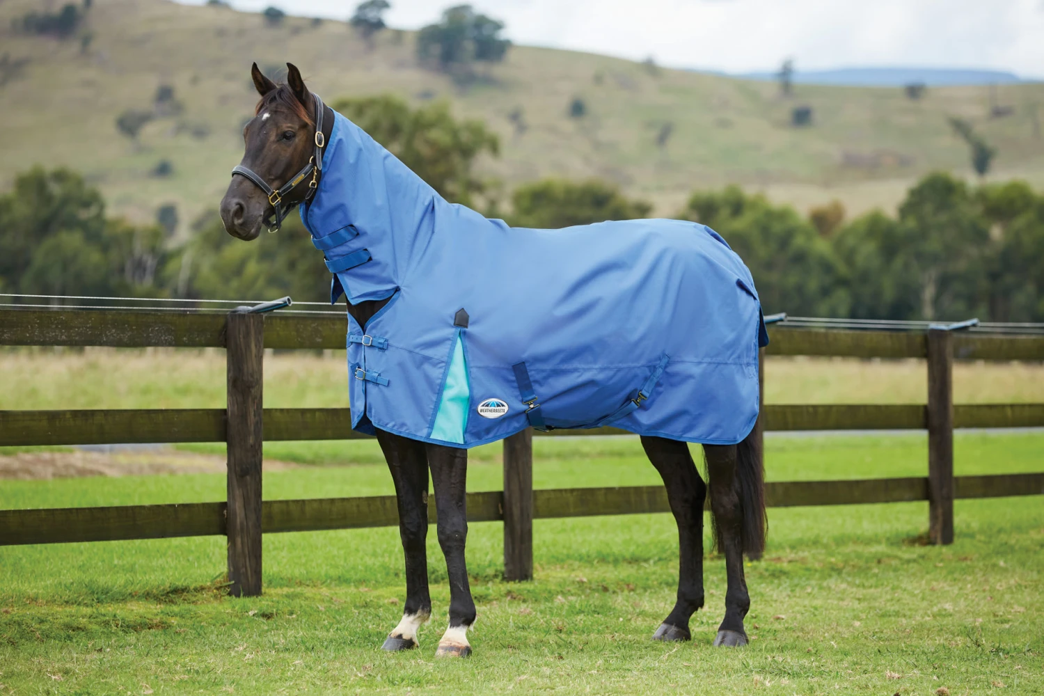 Weatherbeeta Comfitec Classic Combo Lite Delft Blue/Mint 1 Weatherbeeta Comfitec Classic Combo Lite Delft Blue/Mint