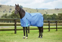 Weatherbeeta Comfitec Classic Standard Neck 100g Medium/Lite Delft Blue/Mint