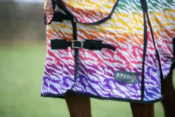StormX Oringinal Zebra Rainbow Print Fly Rug Rainbow/Black 5 StormX Oringinal Zebra Rainbow Print Fly Rug Rainbow/Black -EquiGlow Shop 0020265 stormx oringinal zebra rainbow print fly rug rainbowblack