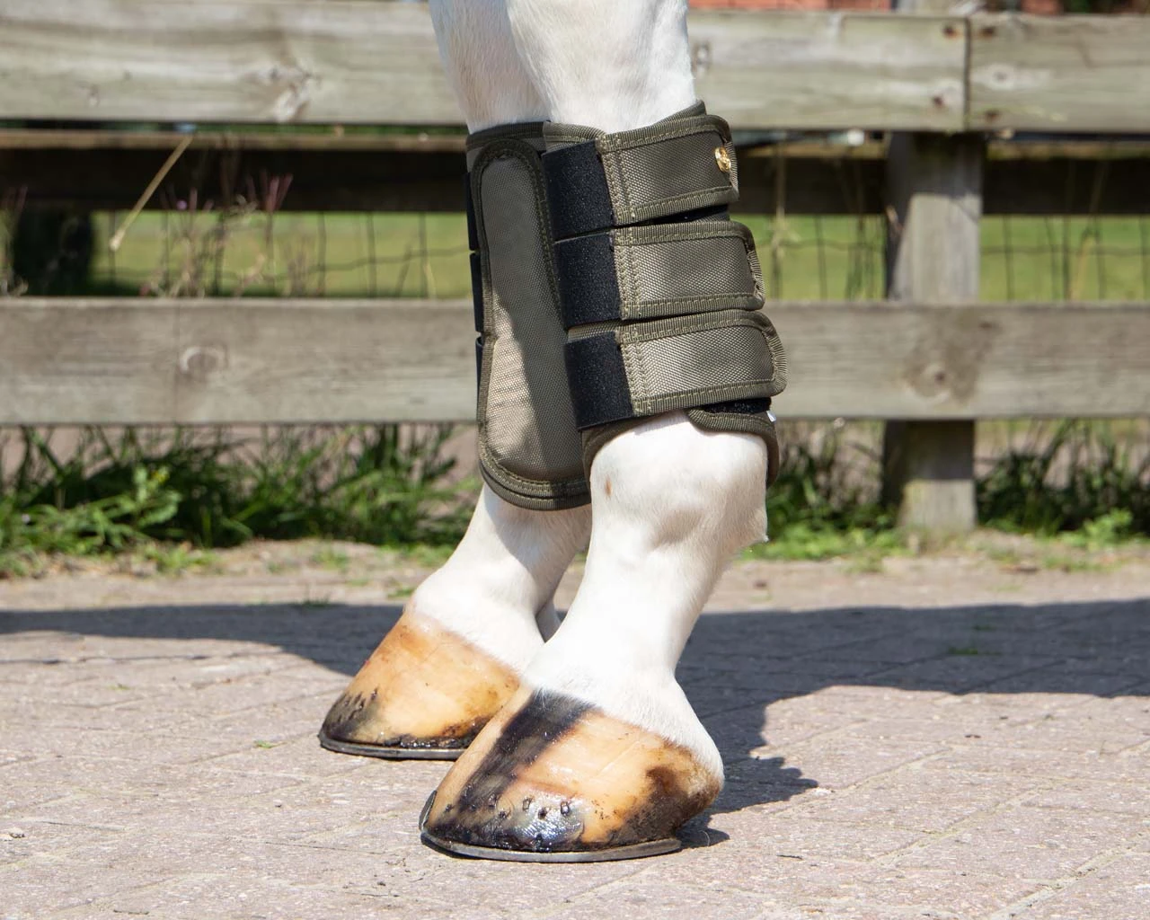 QHP Leg Protection Havana Olive 3 QHP Leg Protection Havana Olive - Image 3